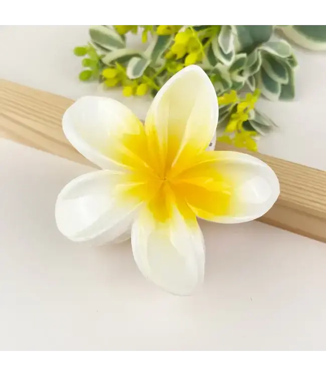 Colorful Plumeria Hair Clip