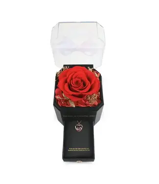 Mossify Everlasting Memories Rose – Preserved Rose & Necklace Gift