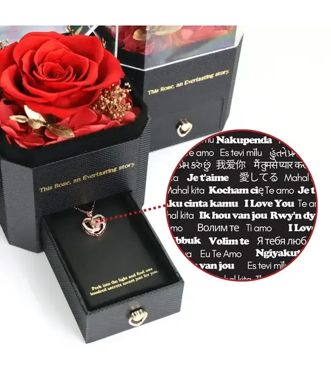 Everlasting Memories Rose – Preserved Rose & Necklace Gift