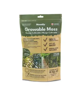 Mossify Growable Moss For Shade – Live Moss Fragments For Planting