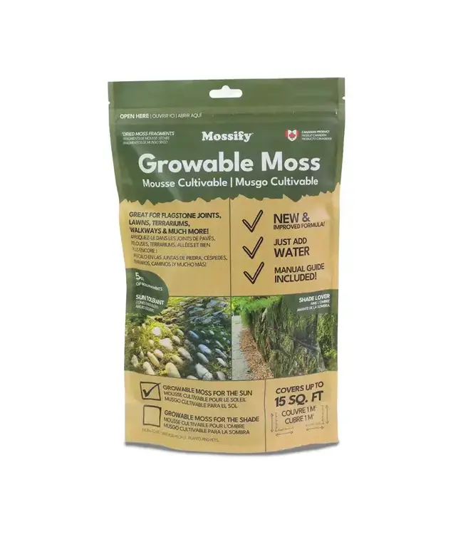 Growable Moss For Sun – Live Moss Fragments For Landscaping