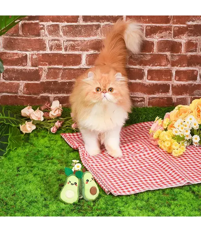 Crazy Catcher | Avocado Pack - Cat Toy
