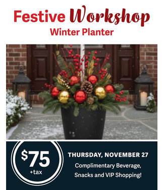 Festive Workshop - Winter Planter - November 27 (DEPOSIT ONLY) Festive Workshop - Winter Planter - November 27 (DEPOSIT ONLY)