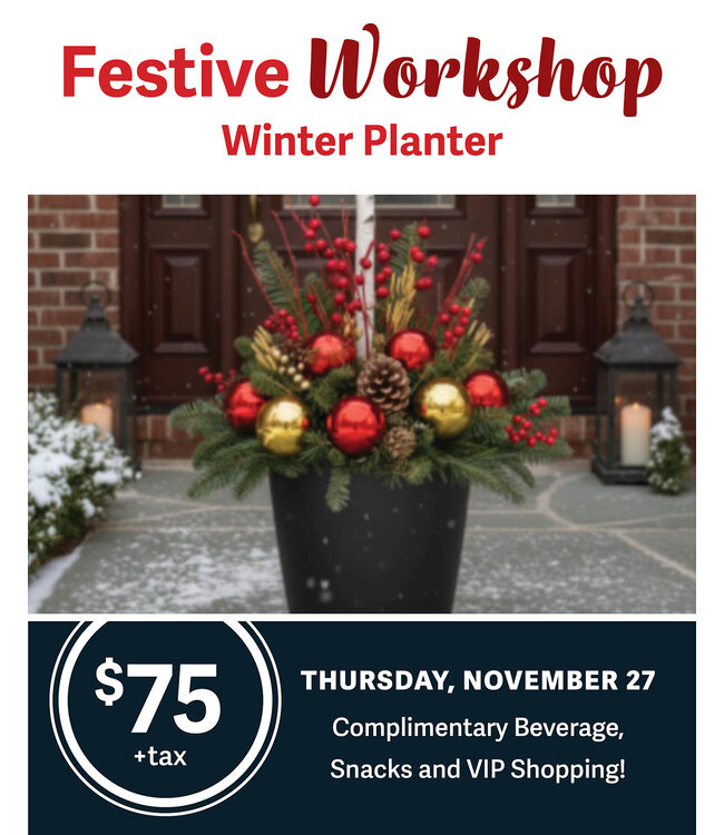 Festive Workshop - Winter Planter - November 27 (DEPOSIT ONLY)