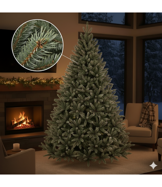 Livingstone Live Christmas Tree - Fraser Fir 7-8ft
