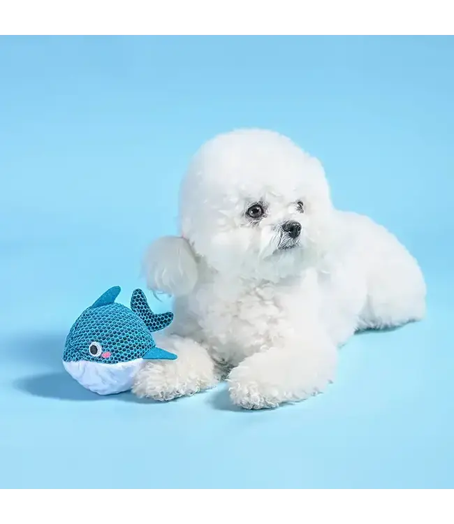 Ocean Pals | Dolphin - Dog Ball Toy