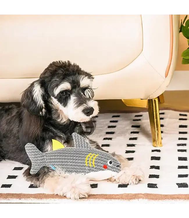 Ocean Pals | Shark - Dog Plush Toy