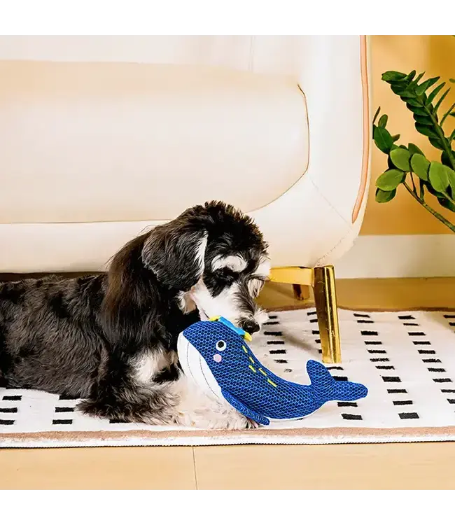 Ocean Pals | Whale - Dog Plush Toy