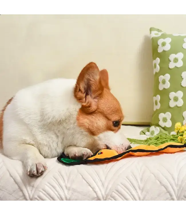 Squeakin’ Vegetables | Carrot - Dog Plush Toy