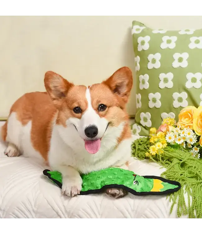 Squeakin’ Vegetables | Pickle - Dog Plush Toy