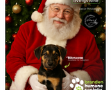 Pet Santa Photos - Fundraiser for Brandon Humane Society