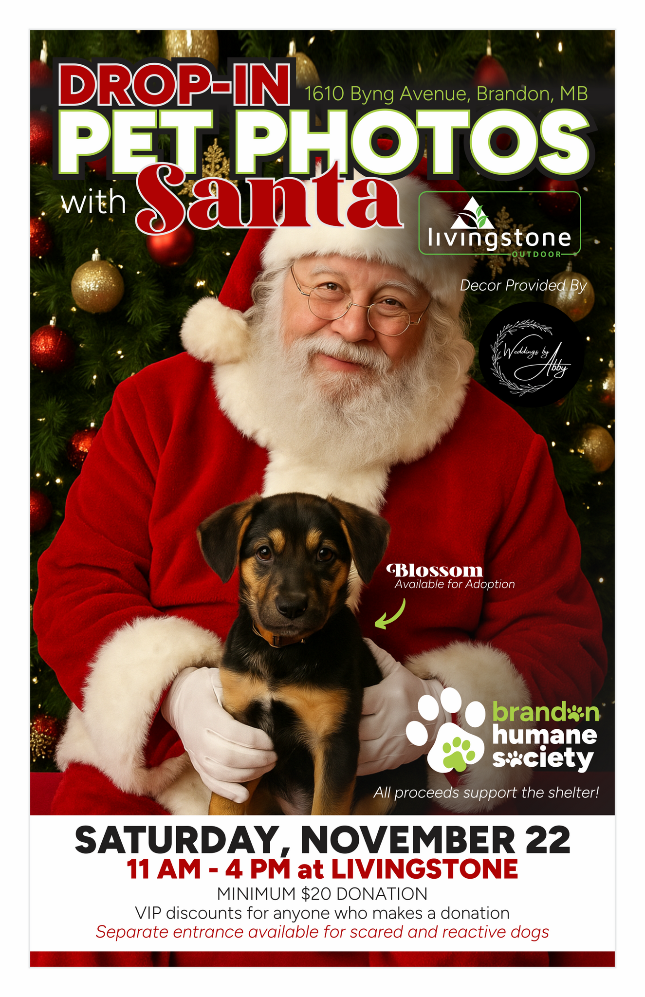 Pet Santa Photos - Fundraiser for Brandon Humane Society