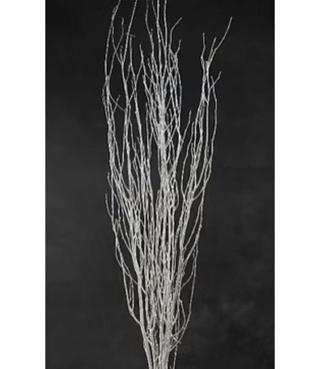 White painted branch 4-5ft Bunch