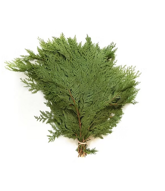 Cedar Bunch Red Western (3lbs)