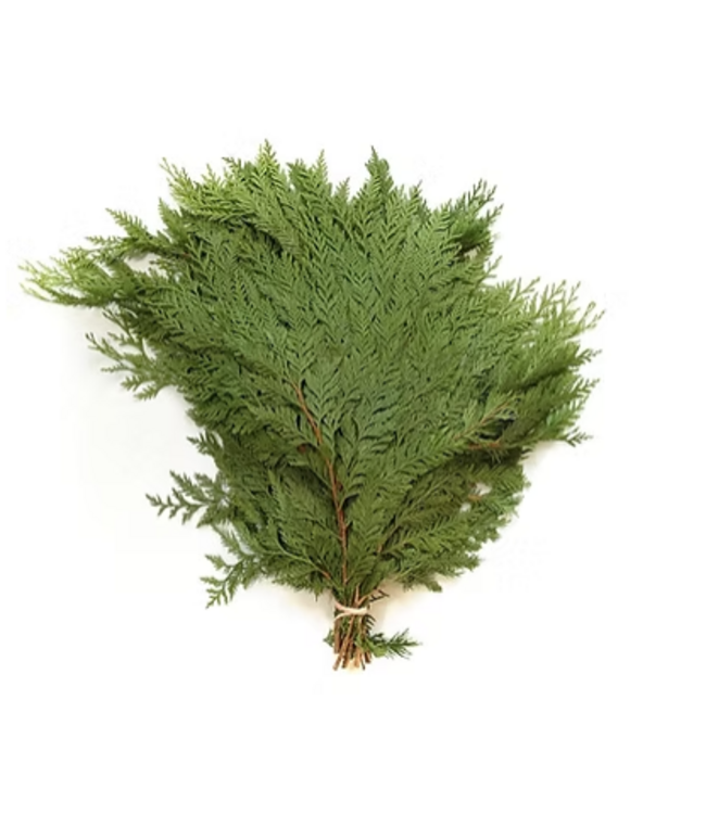 Cedar Bunch Red Western (3lbs)