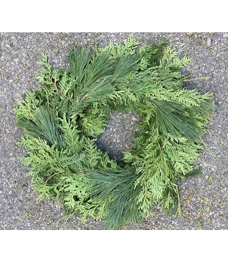 Livingstone Cedar/Pine Wreath 22in (Dbl Sided)