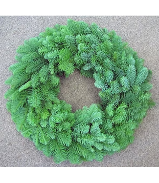 Livingstone Nobel Fir  Wreath 18in