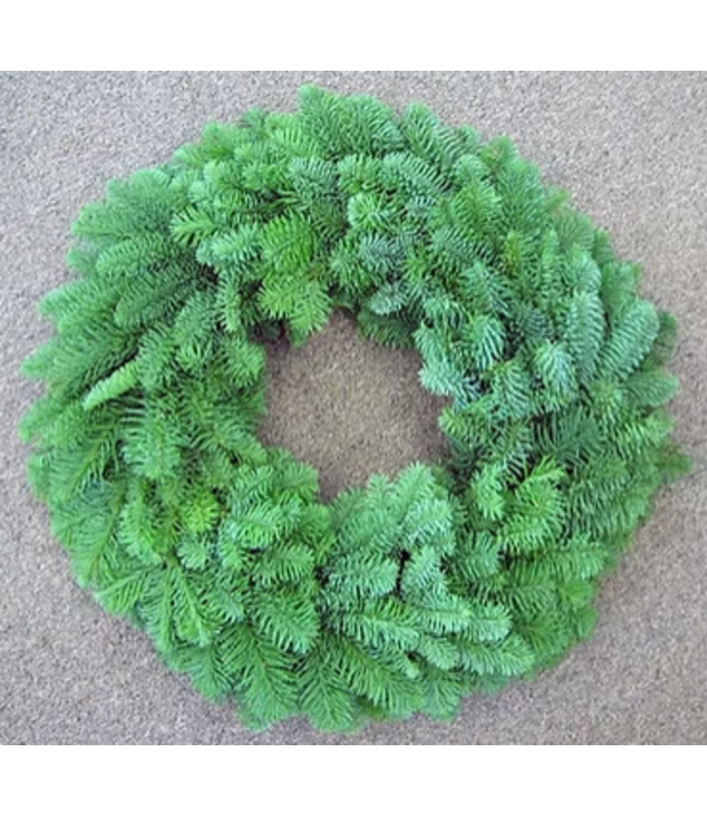 Nobel Fir  Wreath 18in