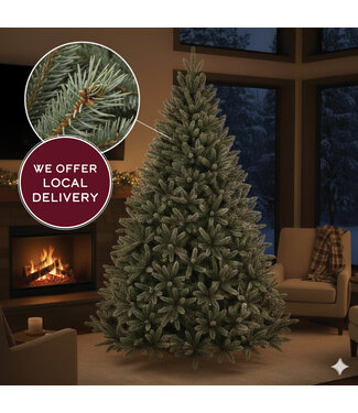 Livingstone Live Christmas Tree - Fraser Fir 7-8ft