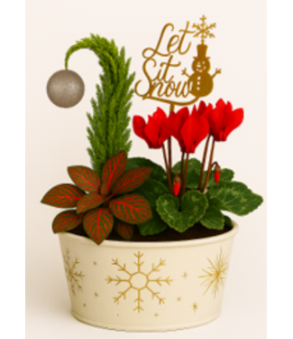 Livingstone Indoor Planter with Grinch 7” [10]