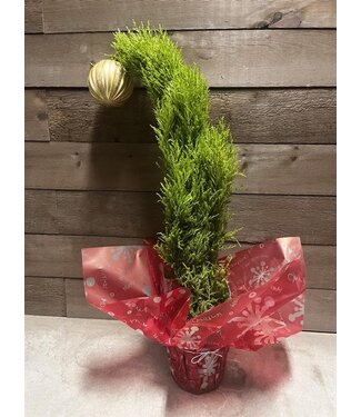 Livingstone Grinch Tree  W/Mylar  6in [5]