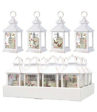 Carson Home & Gift Assorted Everyday Lanterns