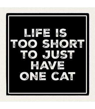 Carson Home & Gift Coaster 4" Sq One Cat