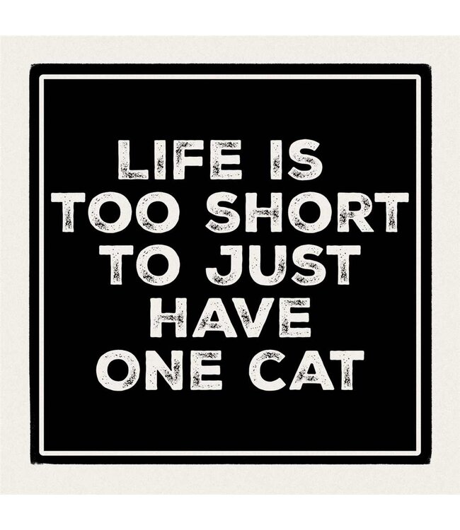 Coaster 4" Sq One Cat