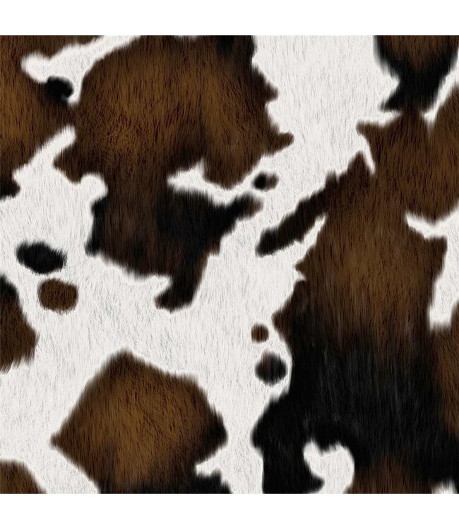 Coaster 4" Sq Cow Print