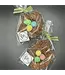 Easter Milk Chocolate Coconut Bunny Nests