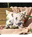 Cranes Outdoor Cushion Blush/Forest