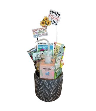 Livingstone Plant Pot Basket - 6in. Willow Leaves