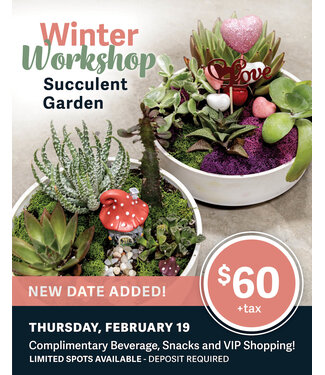 Succulent Garden Workshop - February 19 - 6pm (DEPOSIT ONLY)