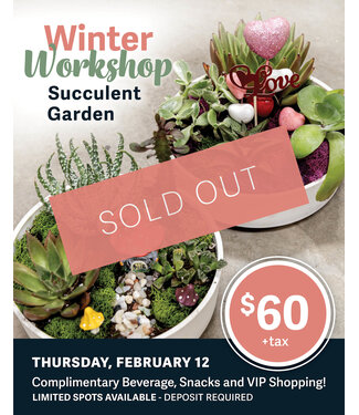 Succulent Garden Workshop - February 12 - 6pm (DEPOSIT ONLY)