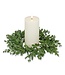 Boxwood Candle Ring