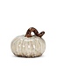 Mini Pumpkin White