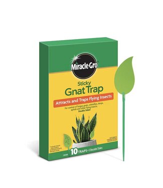 Miracle Gro Miracle-Gro Sticky Gnat Trap