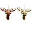 Reindeer Bust Ornaments Asst.