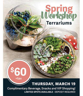 Terrarium Workshop - March 19 - 6pm (DEPOSIT ONLY)
