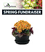 (E) Spring Fundraiser 8" Chic Indoor Planter
