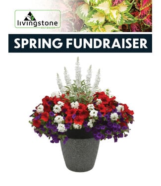 (D) 14" Modern Round Feature Planter