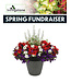(D) Spring Fundraiser 14" Modern Round Feature Planter
