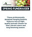 (A) Spring Fundraiser - 12" Blooming Beauty Hanging Basket