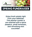 (F) Spring Fundraiser Fresh Table Top Veggie Combo