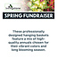 (B) Spring Fundraiser - 14" Blooming Beauty Hanging Basket