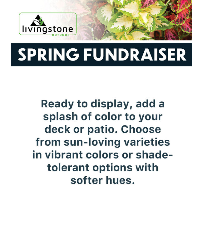 (C) Spring Fundraiser 13" Vibrant Deck Planter