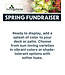 (C) Spring Fundraiser 13" Vibrant Deck Planter