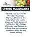(E) Spring Fundraiser 8" Chic Indoor Planter