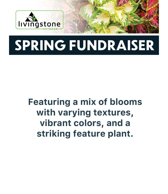 (D) Spring Fundraiser 14" Modern Round Feature Planter