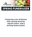 (D) Spring Fundraiser 14" Modern Round Feature Planter